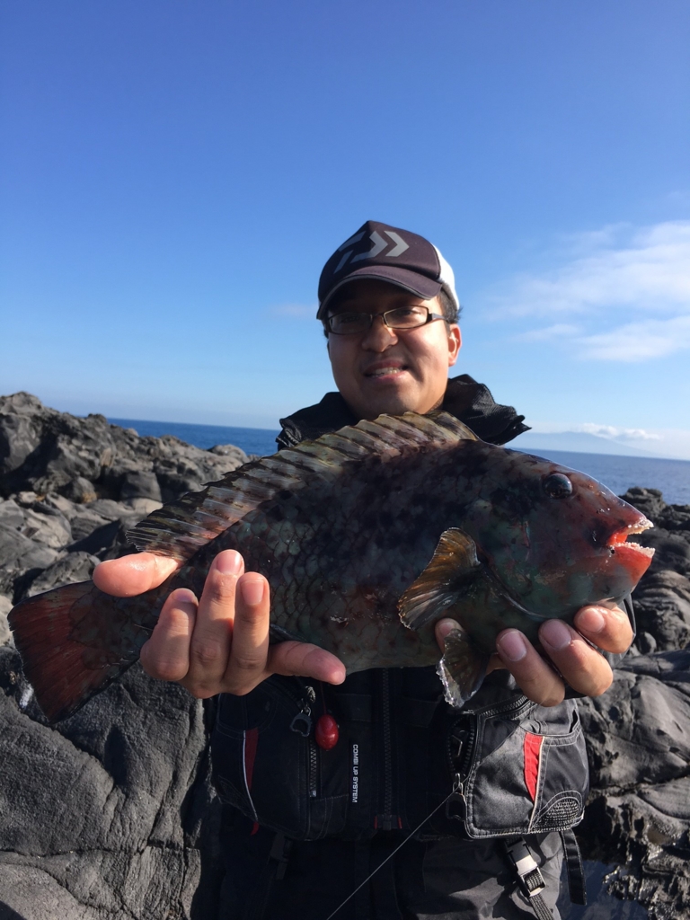 地磯ブダイ釣行 釣具のイシグロ 釣り情報サイト