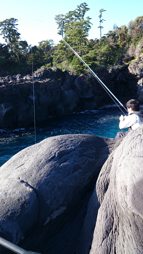 地磯ブダイ釣行 釣具のイシグロ 釣り情報サイト