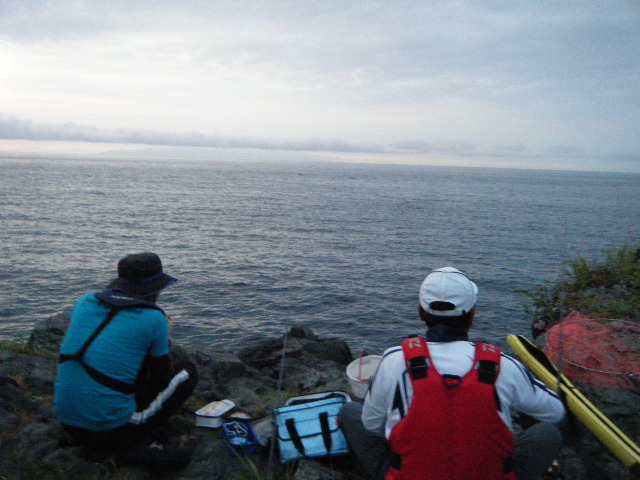 東伊豆 地磯シイラ 祭り 釣具のイシグロ 釣り情報サイト