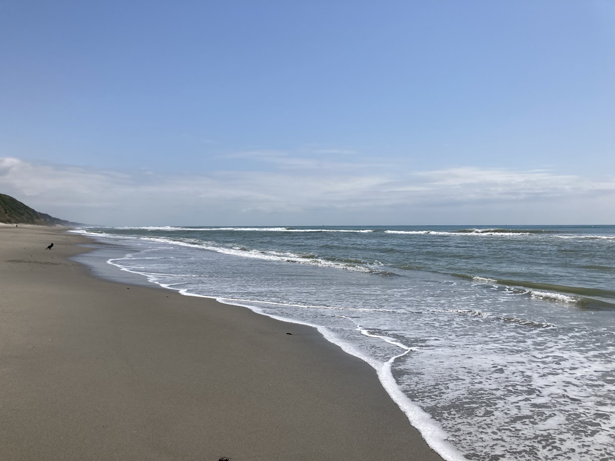 ほうべ（方辺）海岸（田原サーフ）【田原市】