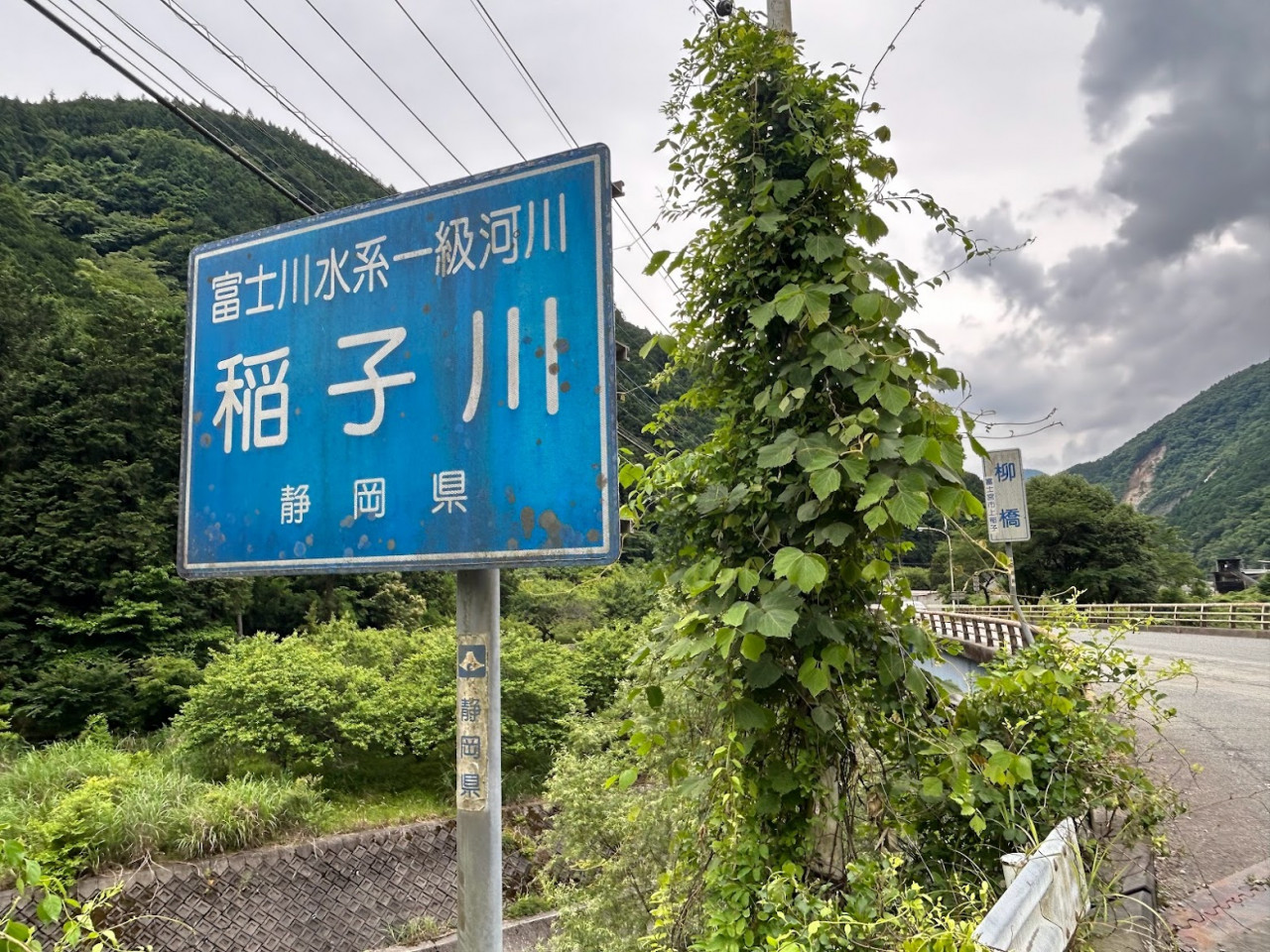 芝川支流 稲子川鮎特定区（いなこがわ） 【富士宮市】