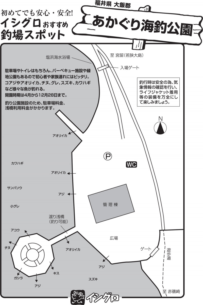 釣果 釣り ぐり 公園 あか 海