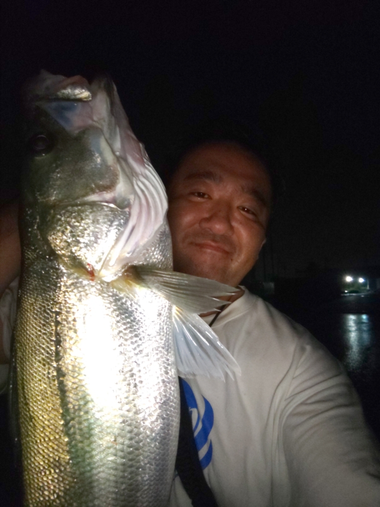 梅雨シーバス好調 アユを捕食していました 釣具のイシグロ 釣り情報サイト