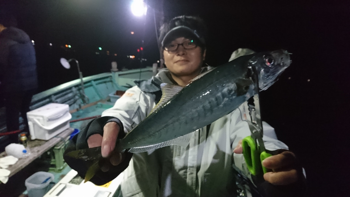 戸田港 ちどり丸夜釣り船 大アジ釣れてます 釣具のイシグロ 釣り情報サイト
