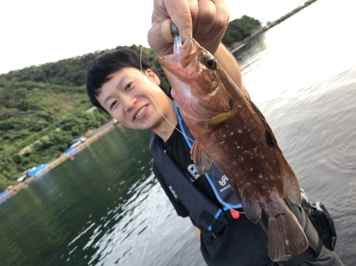 イシグロ西春店 日本海敦賀キジハタ好調 釣具のイシグロ 釣り情報サイト