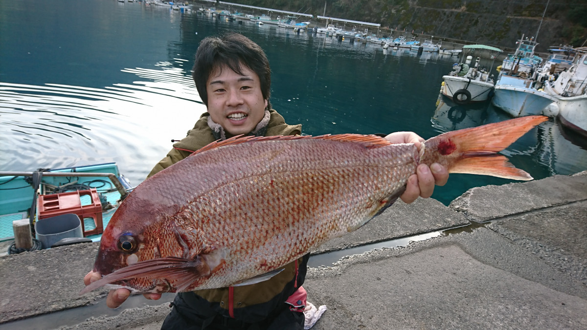 カセ釣りでワラサ 真鯛が大爆釣 釣具のイシグロ 釣り情報サイト