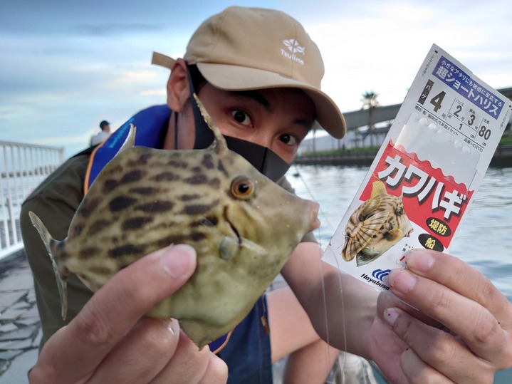 浜名湖新居海釣り公園 カワハギ攻略 釣具のイシグロ 釣り情報サイト