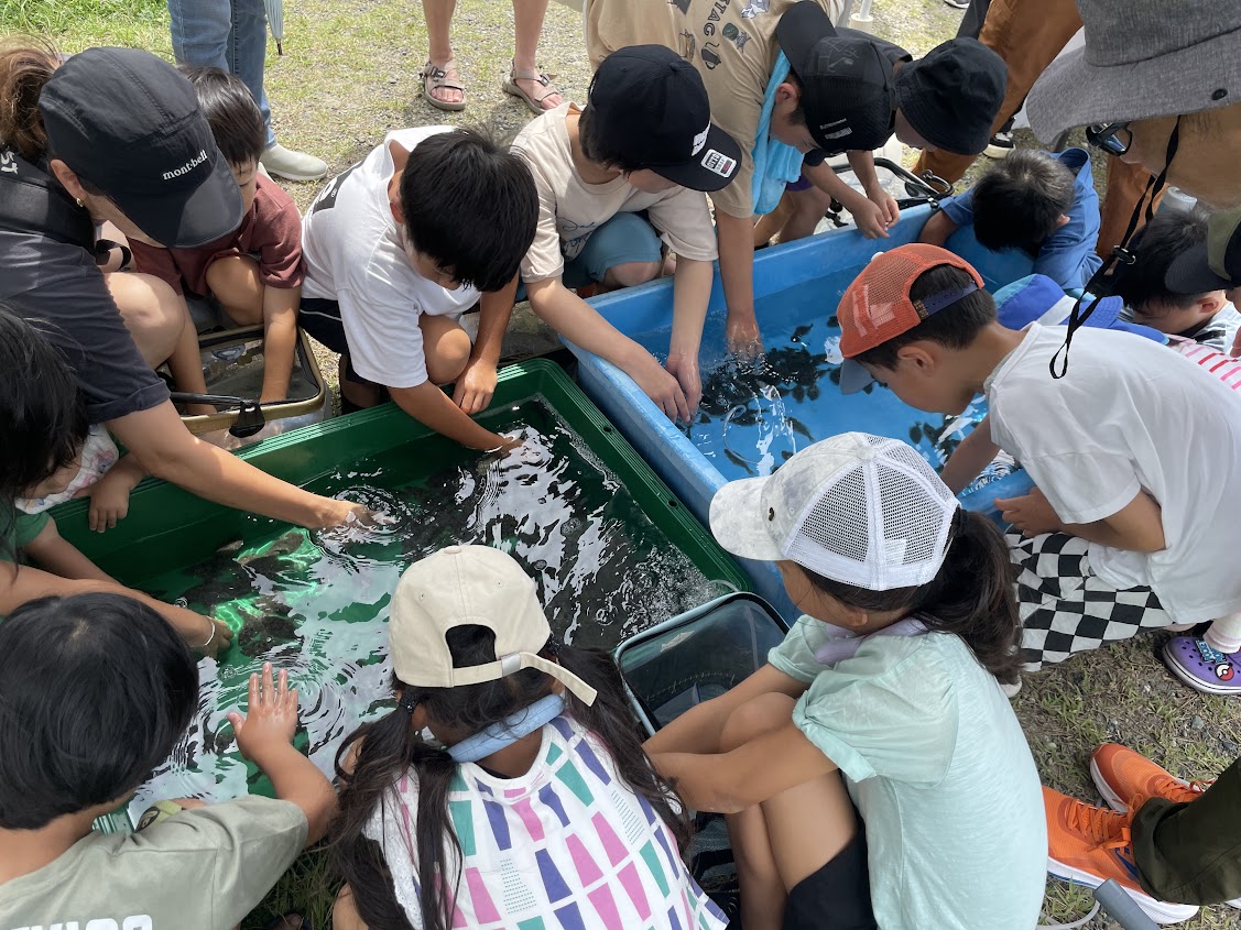 2024浜名湖キューバヘミングウェイカップ【ヒラメ稚魚観察会】