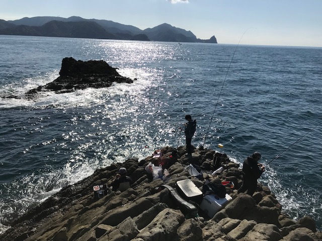 渡船初心者必見 西伊豆釣行 渡船で沖磯での釣りはいかがですか イシグロ 富士店 釣具のイシグロ 釣り情報サイト