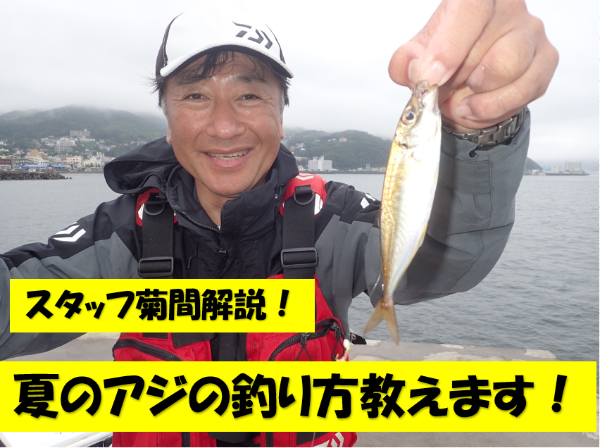 夏のアジ釣り解説致します。