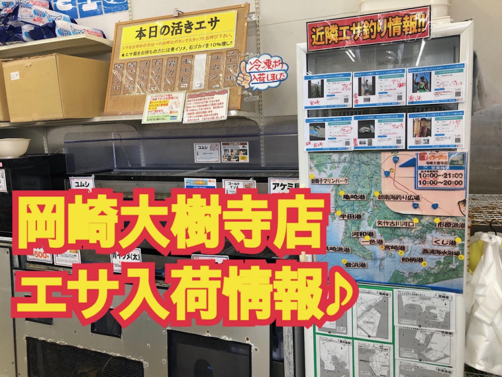 活きエサ入荷です イシグロ 岡崎大樹寺店 釣具のイシグロ 釣り情報サイト