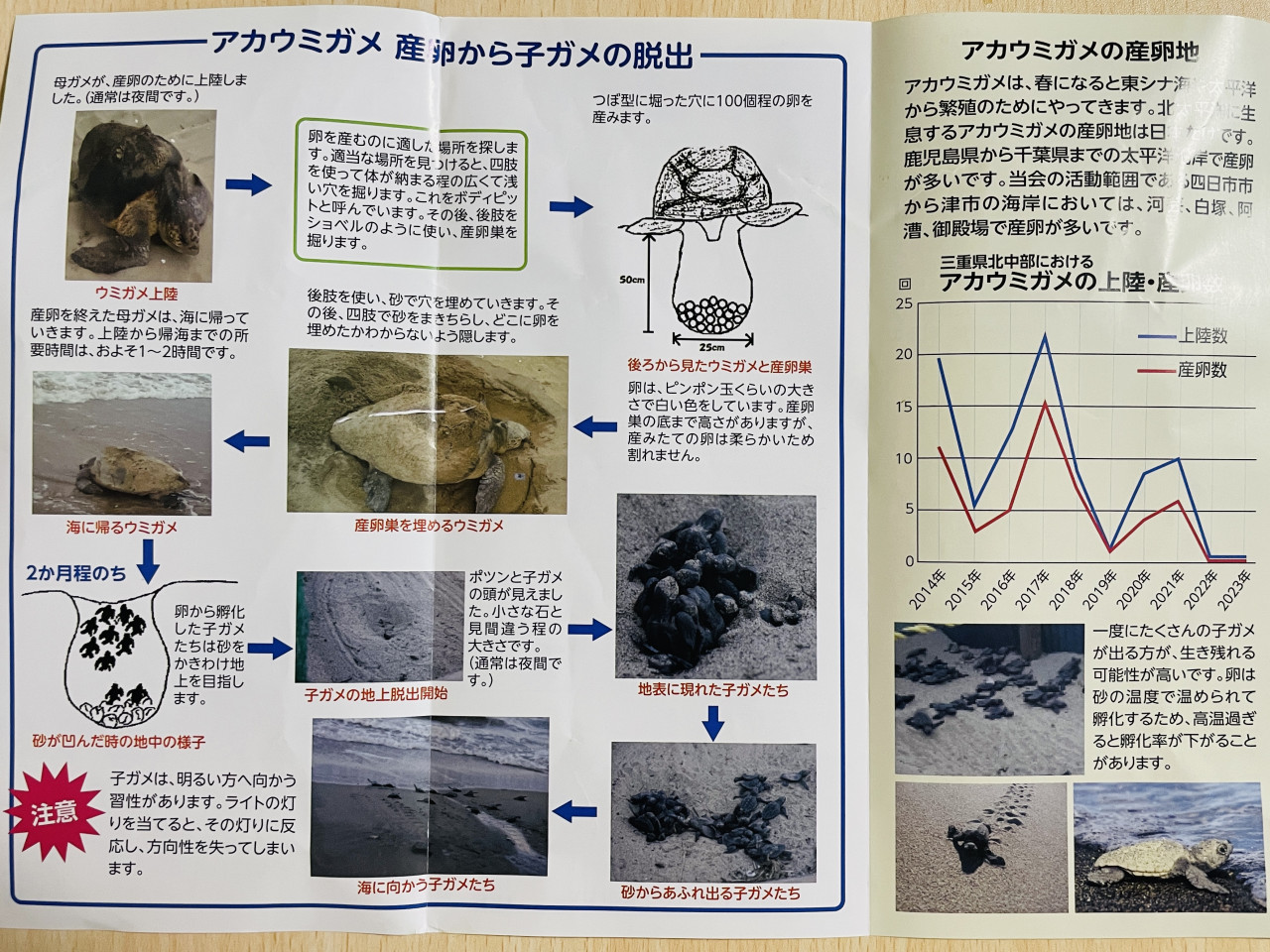 海岸はウミガメの産卵場所でもあります。
特に釣り糸は体に絡まって
動けなくなる原因にもなりやすいです。
そこにいる生き物たちのためにも
回収のご協力お願い致します。