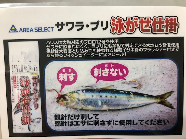 明日からセールスタート 泳がせでサワラを釣る仕掛け紹介 イシグロ 岐阜店 釣具のイシグロ 釣り情報サイト