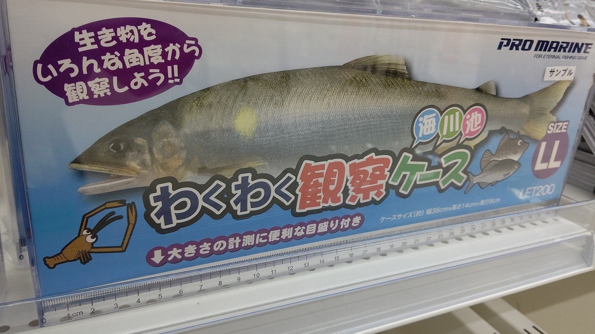 お魚観察水槽LL入荷しました！｜イシグロ岐阜店｜釣具のイシグロ |釣り