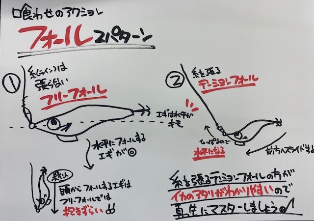 秋イカとは エギング入門におすすめの季節です イシグロ 岐阜店 釣具のイシグロ 釣り情報サイト