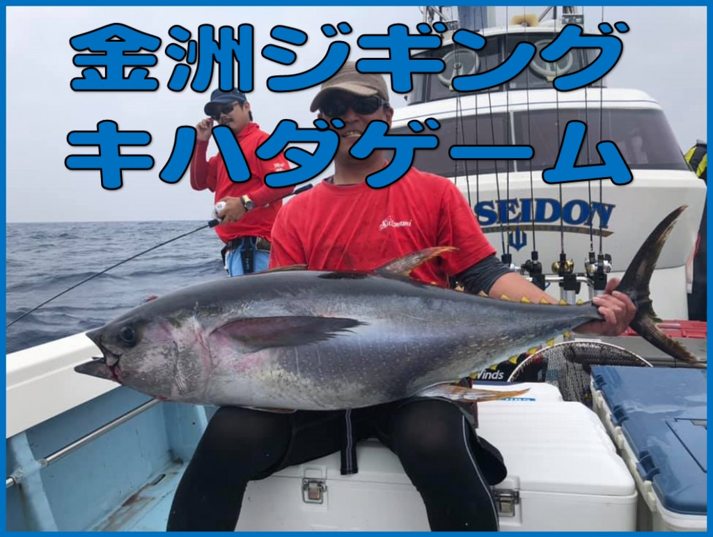 金洲キハダマグロジギング☆釣果出てます！｜オフショア（静岡エリア