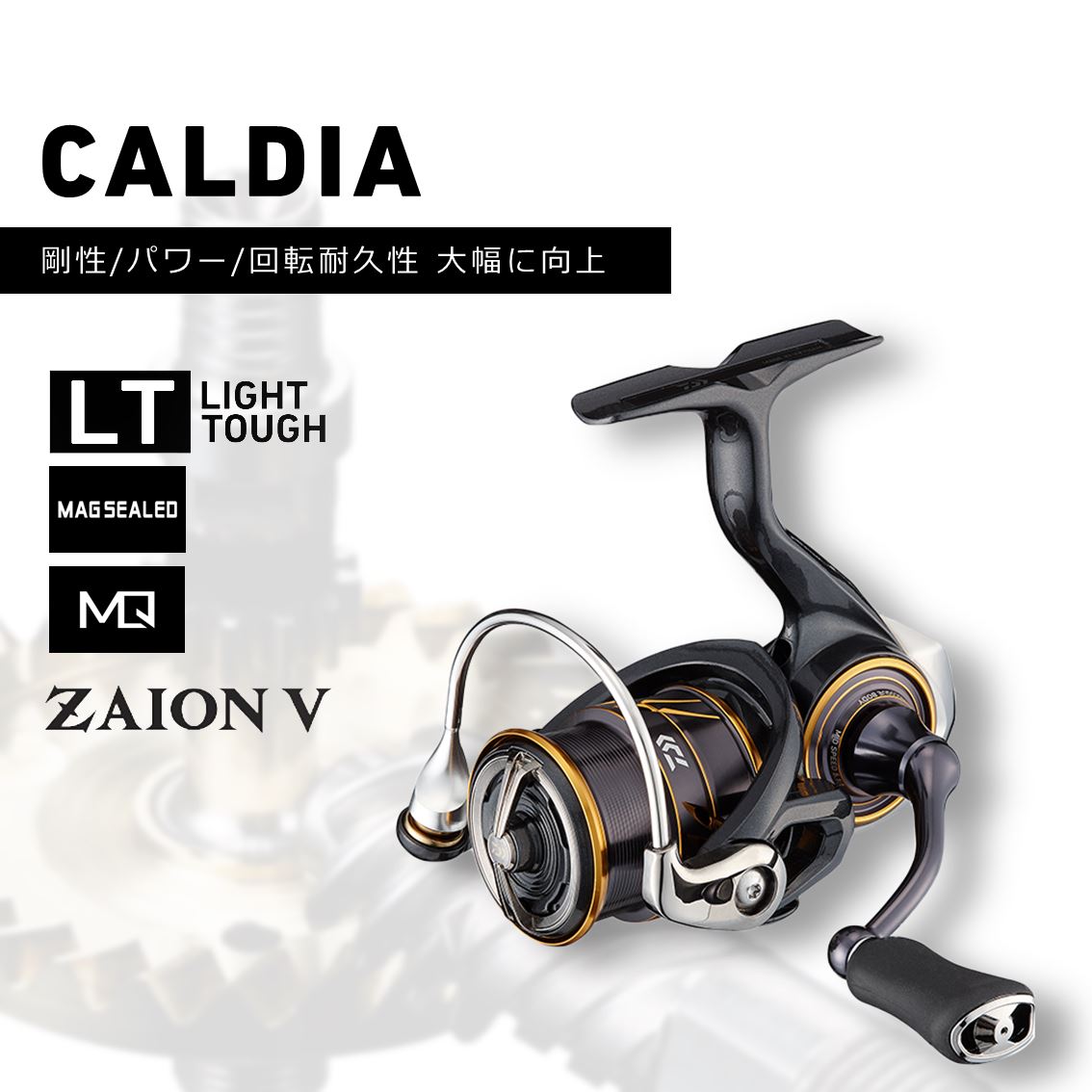 21カルディア！！新しいカルディアはココまで進化！｜イシグロバイヤー