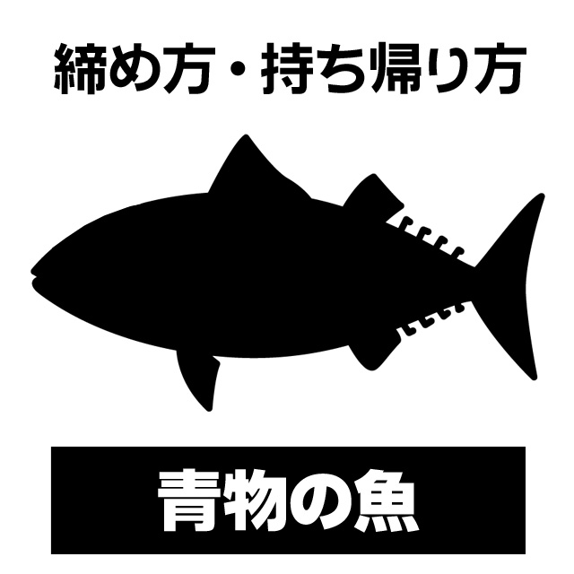 青物の締め方・持ち帰り方