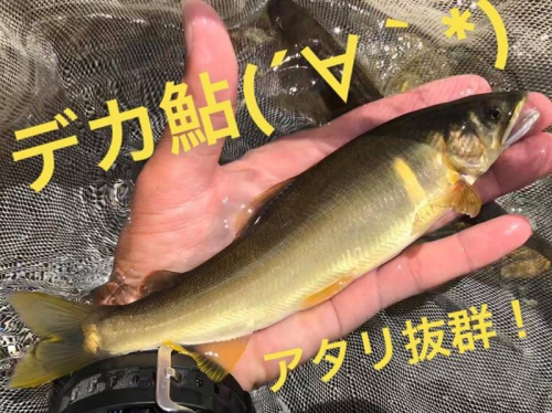 当日最大サイズ！アタリも引きも抜群でした。