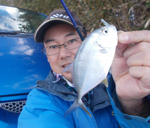 水温が下がり表浜名湖にメッキが集まりだしてきました。釣るなら今がチャンス！！