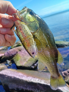 晴天無風状態の中での釣り。