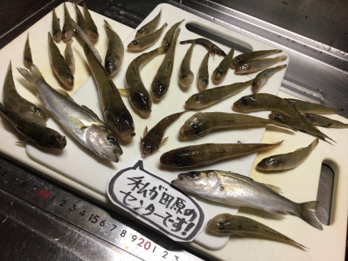 今日のエコパは好調でした。恵みに感謝デス❗️