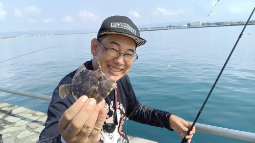 今シーズン初カワハギ、これからが数釣りのシーズンですよ。