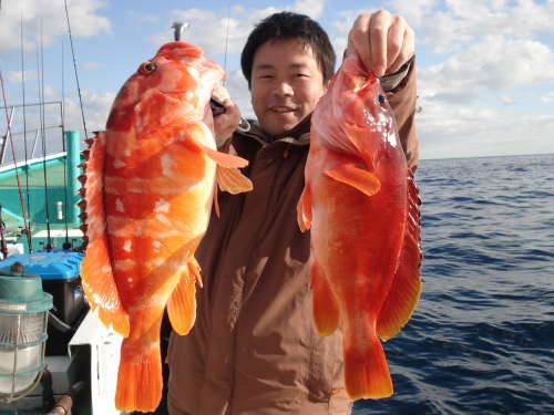 伊豆なら冬でも４０ｃｍオーバーのアカハタが釣れる！