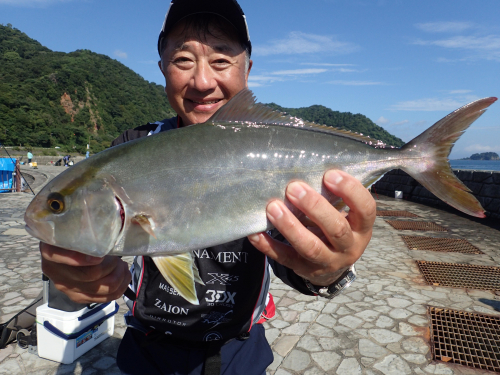 カマス餌の泳がせ釣りでカンパチ