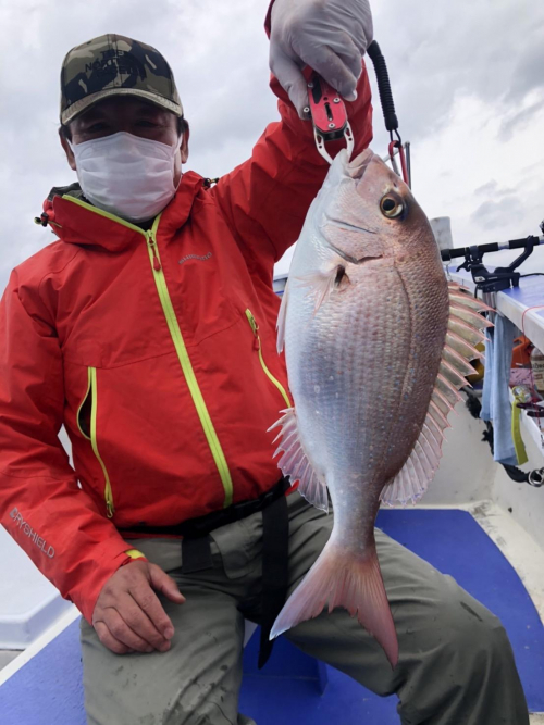 沼津沖で良型マダイが釣れ出しました！！