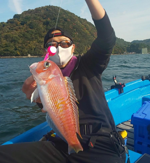 タイラバでアマダイが釣れました！これからの時期、「アマラバ」も楽しめそうです！