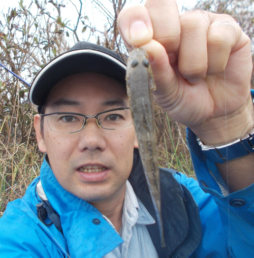 まだまだ浅場で釣れてます。場所によって大きさに差があります。