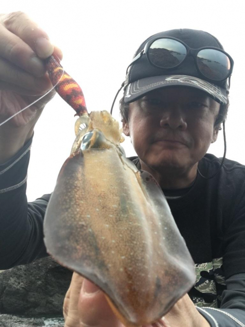 短時間で１８杯と最高の釣果。今年の日本海はアオリイカ多そうですよ！