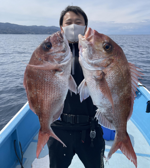 乗っ込みマダイ開幕！タイラバでマダイ釣れてます！！