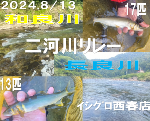 和良川　掛け針はダイワ：パワースピード7.5号
長良川　掛け針はオーナー：秀尖7.0号　　　４本イカリ