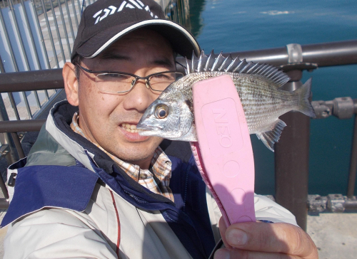 魚が釣れないこの季節ですがチンタ（クロダイ）は元気！初心者の方でも簡単に釣ることができます。ここの所魚を釣ってないよ～とお嘆きのあなたも癒されに来ませんか。