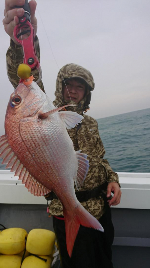 マダイの数釣りはできませんでしたが、いろいろな魚が釣れました！