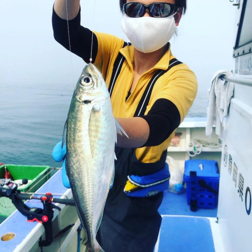 これからが旬のアジ釣れました！