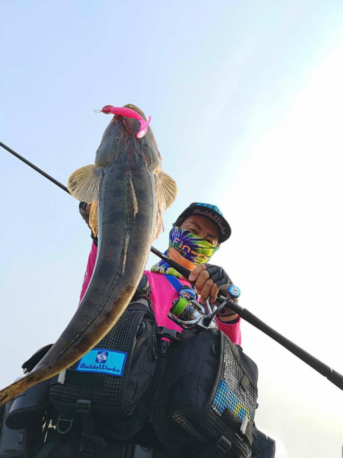 朝マヅメでベイトの接岸のタイミングで釣れました！