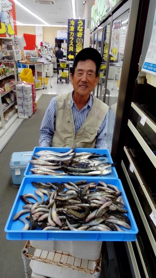 外海が荒れていたので内海（片浜港）のちょい投げ釣りで釣れました。