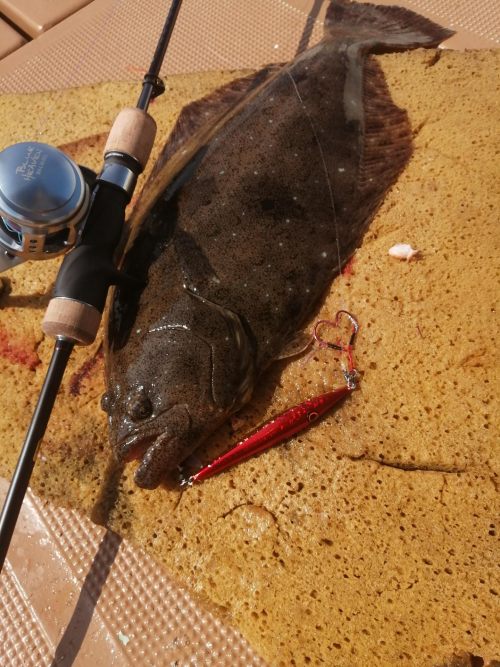 超シャローで爆釣！！
軽量ジグで楽釣です！！