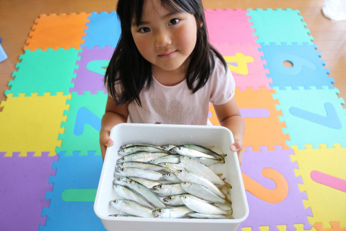 いただいたお魚もありますが、娘も大満足♪