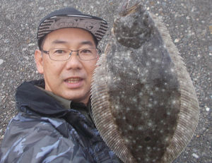 今シーズン初のヒラメ、休日でなかなかいいポイントに入れませんでしたが何とか釣ることが出来ました。他にもエサが齧られたりと小魚が増えてくるこれからが泳がせ釣りが楽しい季節です♪