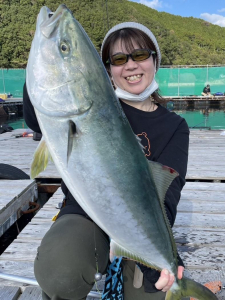 ウグイの泳がせで青物！脈釣りでは真鯛が朝からよく釣れました。