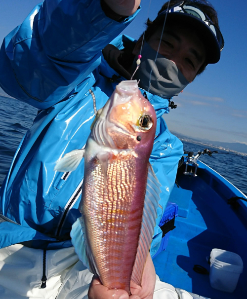 水深70ｍ前後での釣果です！UVカラーの水中灯を使用しました。