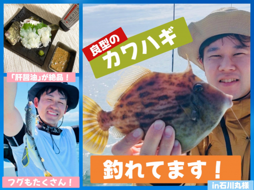 【良型のカワハギ釣れてます！】in石川丸様