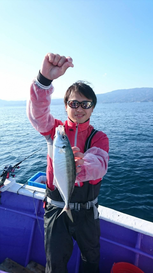 沼津湾内で脂ノリノリの美味しいアジが釣れています！