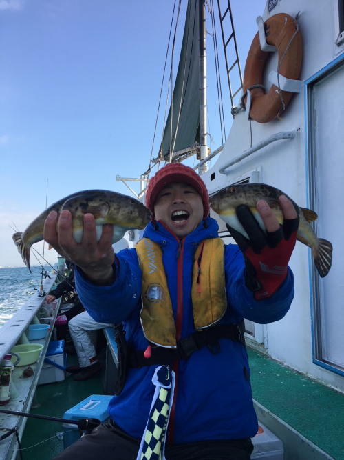 師崎沖良型フグ釣れています！