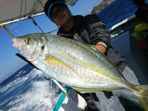 高級魚シマアジ狙いで神津島へ行ってきました。