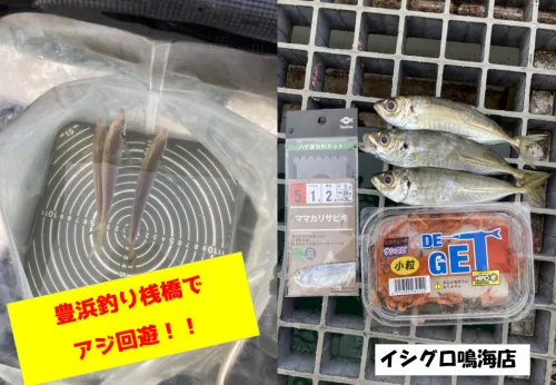 イシグロ鳴海店 またまたBIGブリが釣れました！ 各地で青物の釣果が好調です♪｜釣具のイシグロ